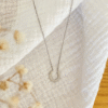 Screenshot-2026-01-19-at-11-04-44-Fiera-Necklace-horseshoe-necklace-steel-or-gold