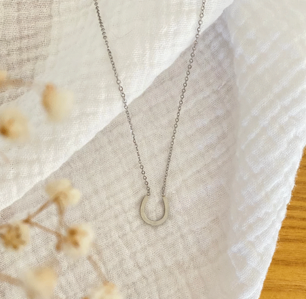 Screenshot-2026-01-19-at-11-04-44-Fiera-Necklace-horseshoe-necklace-steel-or-gold