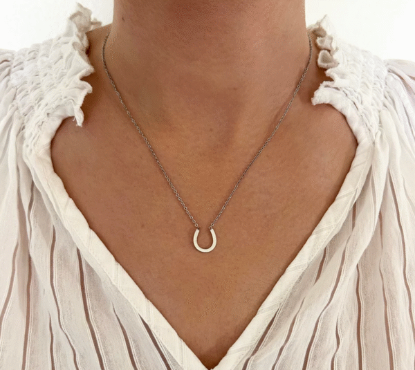 Screenshot-2026-01-19-at-11-04-51-Fiera-Necklace-horseshoe-necklace-steel-or-gold