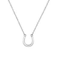 Screenshot-2026-01-19-at-11-05-02-Fiera-Necklace-horseshoe-necklace-steel-or-gold