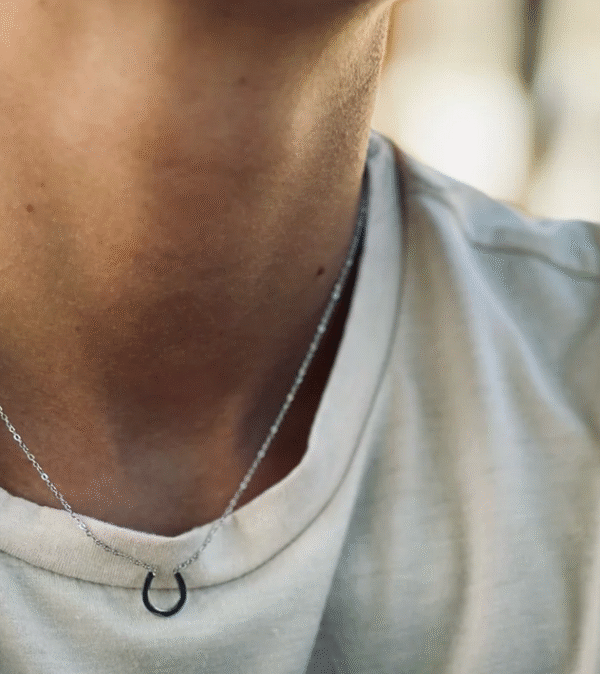 Screenshot-2026-01-19-at-11-05-13-Fiera-Necklace-horseshoe-necklace-steel-or-gold
