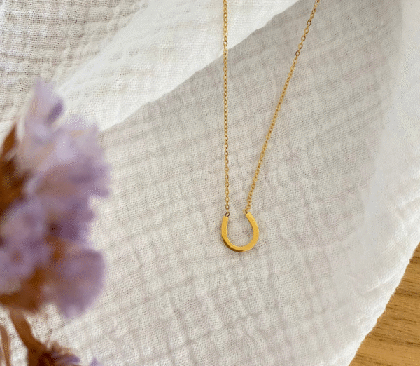 Screenshot-2026-01-19-at-11-07-51-Fiera-Necklace-horseshoe-necklace-steel-or-gold