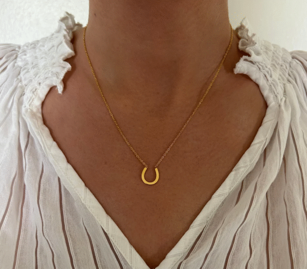 Screenshot-2026-01-19-at-11-08-02-Fiera-Necklace-horseshoe-necklace-steel-or-gold