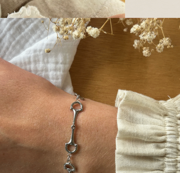 Screenshot-2026-01-21-at-15-02-10-Gubbe-Bracelet-Small-Equestrian-Bits-Steel-or-Gold