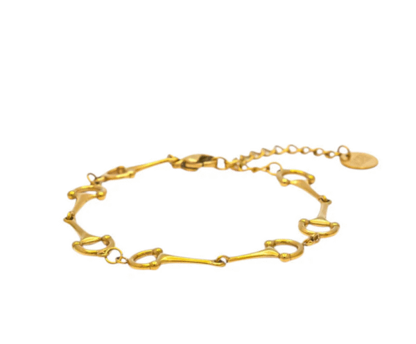 Screenshot-2026-01-21-at-15-03-51-Gubbe-Bracelet-Small-Equestrian-Bits-Steel-or-Gold