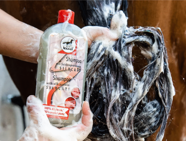 Screenshot-2026-01-21-at-15-09-06-Silkcare-Shampoo-leovet