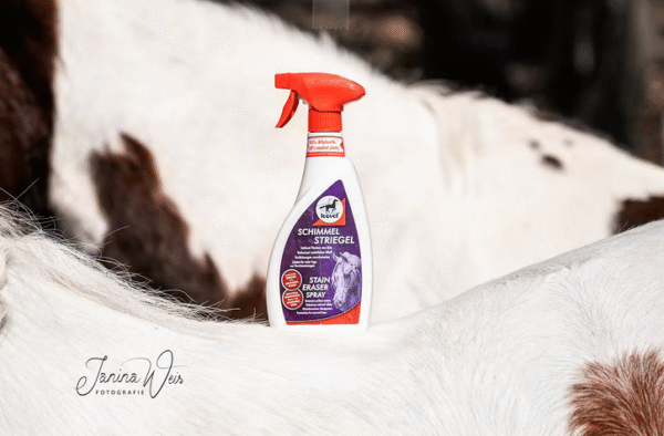 Screenshot-2026-01-21-at-15-10-58-Stain-Eraser-Spray-leovet