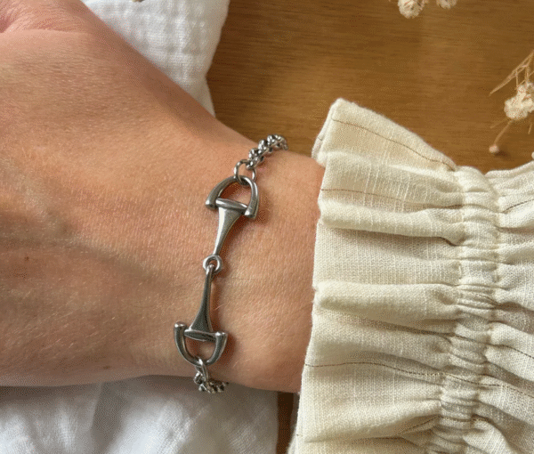 Screenshot-2026-01-26-at-19-52-24-Verona-bracelet-horsebit-on-adjustable-chain-steel-or-gold