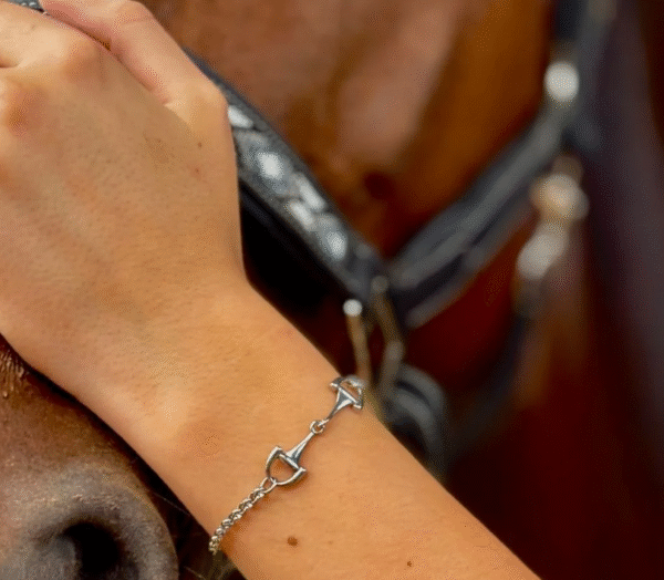 Screenshot-2026-01-26-at-19-52-31-Verona-bracelet-horsebit-on-adjustable-chain-steel-or-gold
