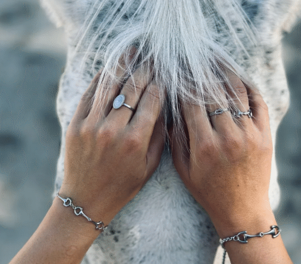 Screenshot-2026-01-26-at-19-52-37-Verona-bracelet-horsebit-on-adjustable-chain-steel-or-gold