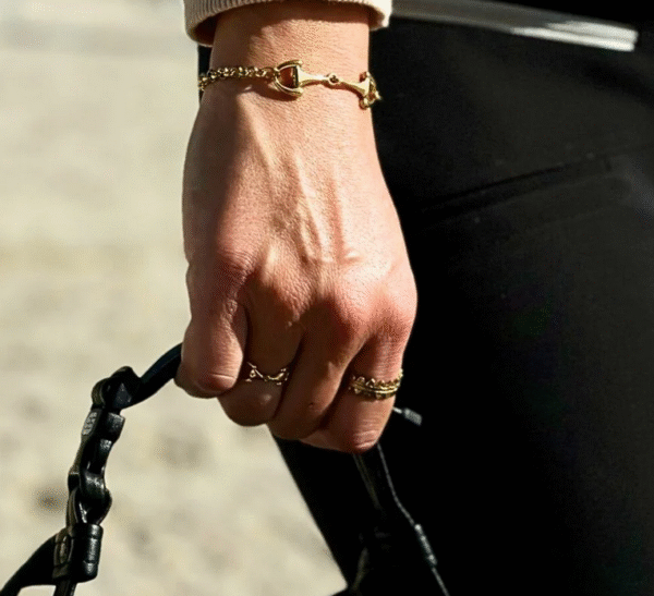 Screenshot-2026-01-26-at-19-54-01-Verona-bracelet-horsebit-on-adjustable-chain-steel-or-gold