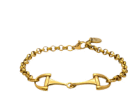 Screenshot-2026-01-26-at-19-54-09-Verona-bracelet-horsebit-on-adjustable-chain-steel-or-gold