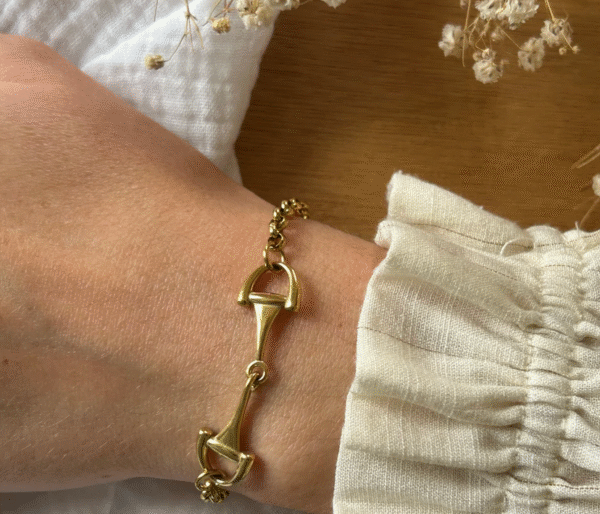 Screenshot-2026-01-26-at-19-54-15-Verona-bracelet-horsebit-on-adjustable-chain-steel-or-gold