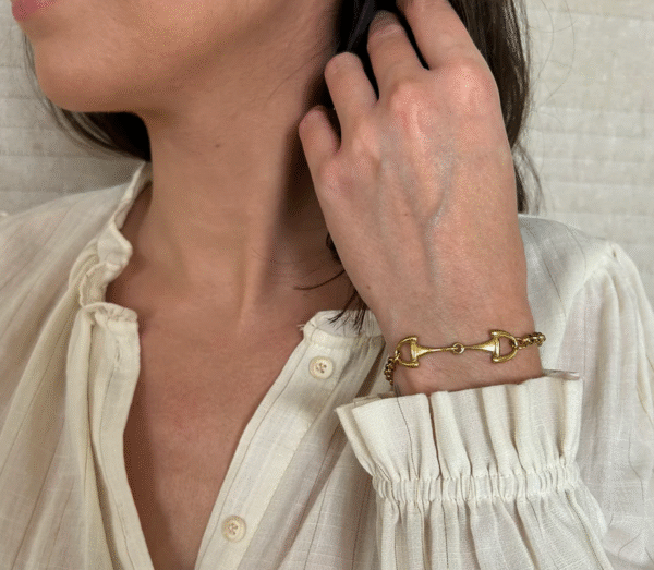 Screenshot-2026-01-26-at-19-54-21-Verona-bracelet-horsebit-on-adjustable-chain-steel-or-gold