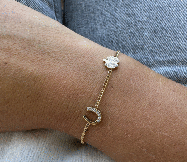 Screenshot-2026-01-27-at-21-51-34-Willow-Bracelet-Clover-Horseshoe-Steel-or-Gold
