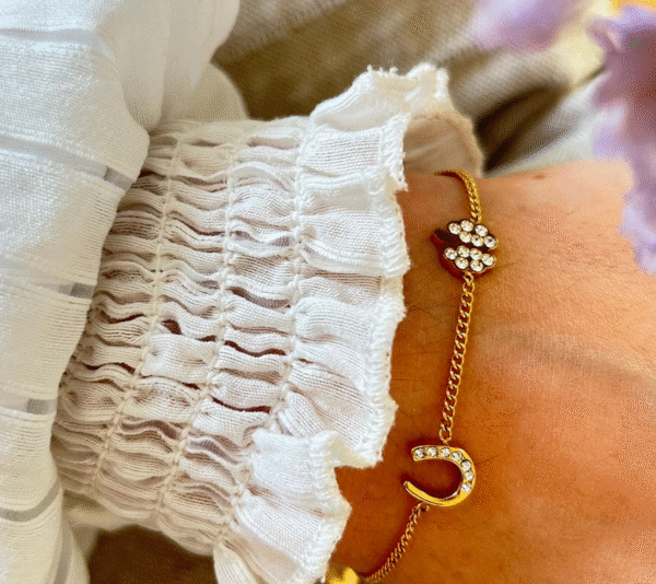 Screenshot-2026-01-27-at-21-55-47-Willow-Bracelet-Clover-Horseshoe-Steel-or-Gold