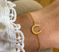 Screenshot-2026-01-31-at-23-36-01-Fiera-Bracelet-horseshoe-bracelet-steel-or-gold