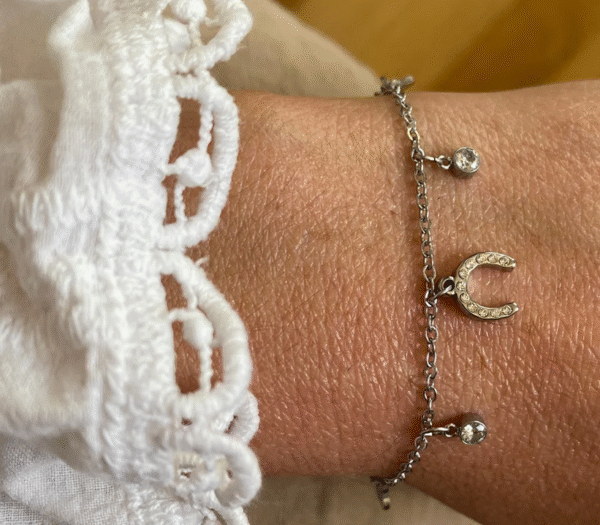 Screenshot-2026-02-02-at-21-07-01-Ziggy-Bracelet-Horseshoe-Clover-Steel-or-Gold