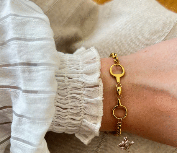 Screenshot-2026-02-03-at-13-47-08-Twice-Bracelet-Double-Jointed-Bit-Steel-or-Gold