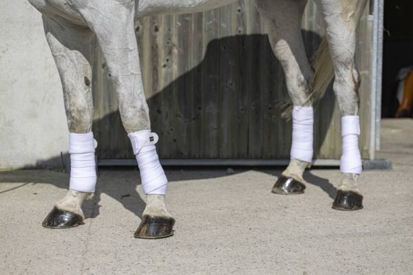 540072001-ambi-1-web