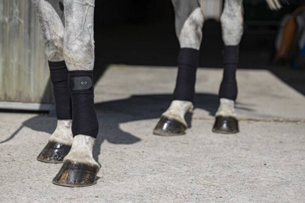 540072002-ambi-1-web