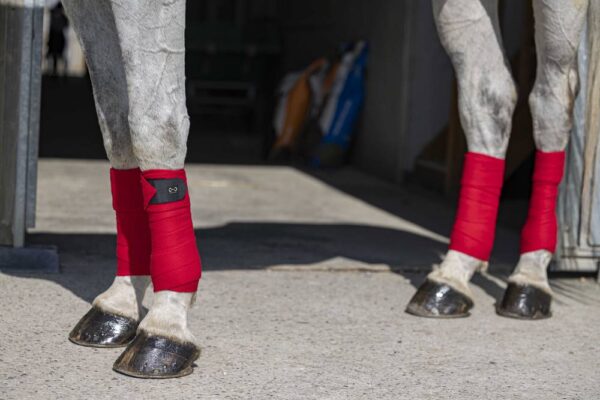 540072003-ambi-1-web