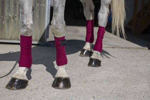 540072033-ambi-1-web