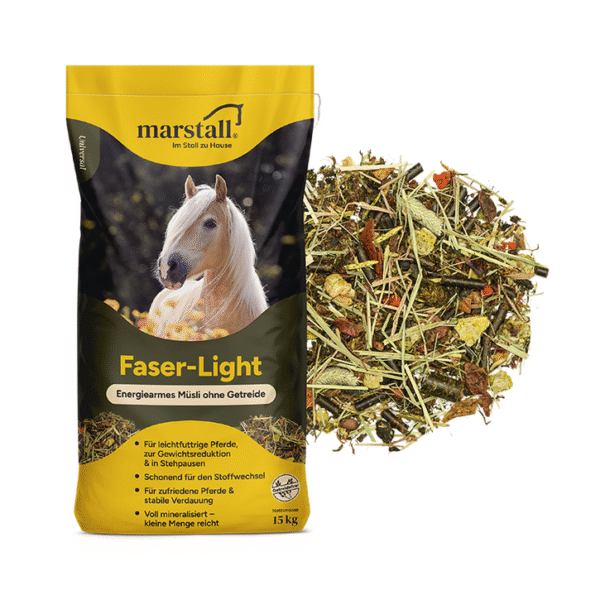 Screenshot-2026-03-26-at-18-26-05-marstall-Faser-Light