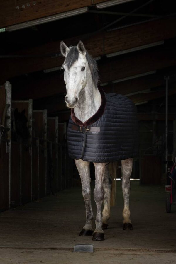 400809163-ambi-2-web