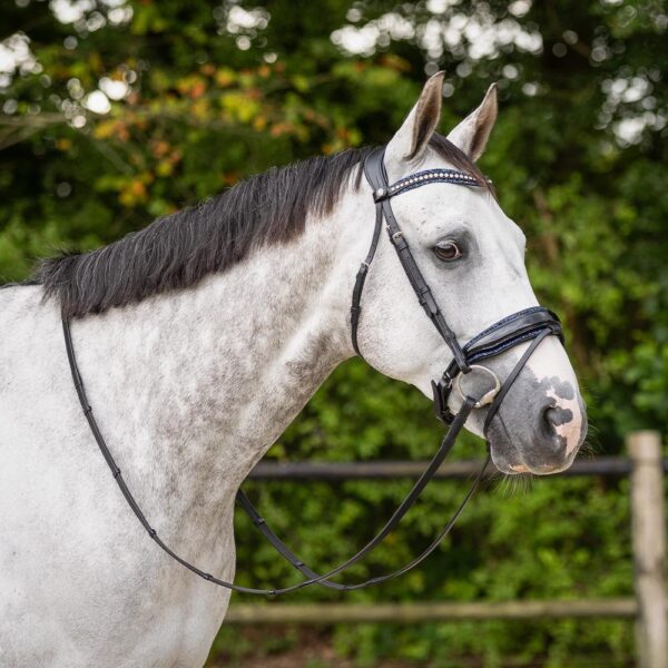 9116zwna-6-2 9116zwna-6-2