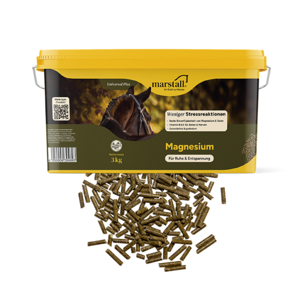 Screenshot-2026-04-17-at-18-15-51-marstall-Magnesium