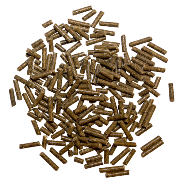 Screenshot-2026-04-17-at-18-16-15-marstall-Magnesium